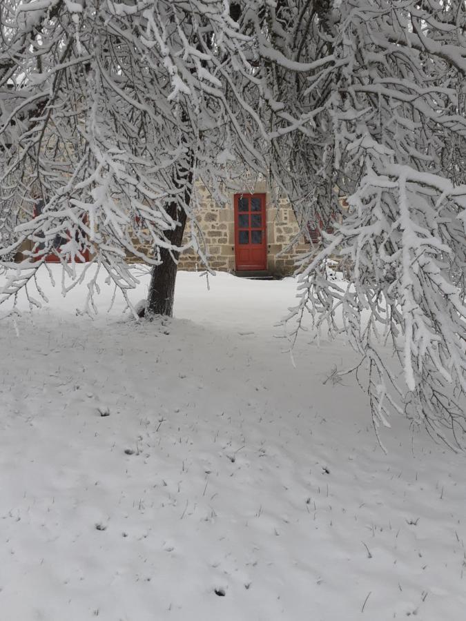 Auverg'Nature Chambre Cocon Espinasse Экстерьер фото