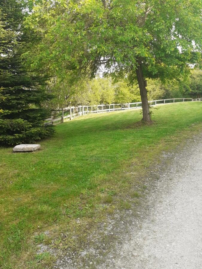Auverg'Nature Chambre Cocon Espinasse Экстерьер фото